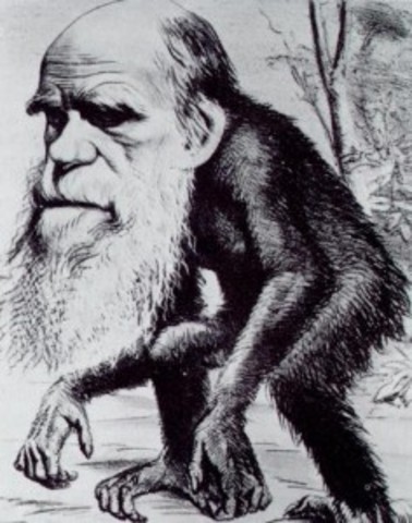 Darwin's Hypothesis