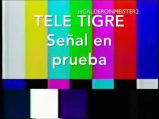 Un nuevo Canal para la Televisión