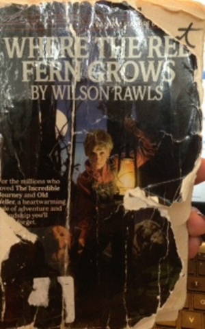 Where the Red Fern Grows