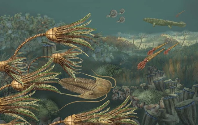 ERA PALEOZOICO