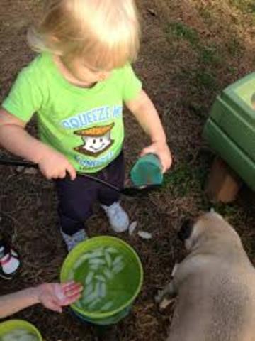 16-18 Months Cognitive Development