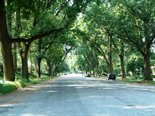 My Family Moves to Grandview