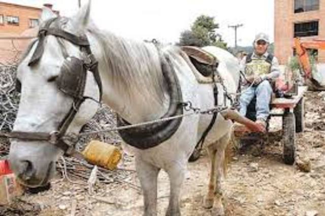 primera fase Villavicencio