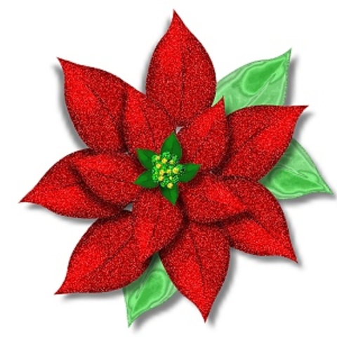 Poinsettia Sale 3rd Grade