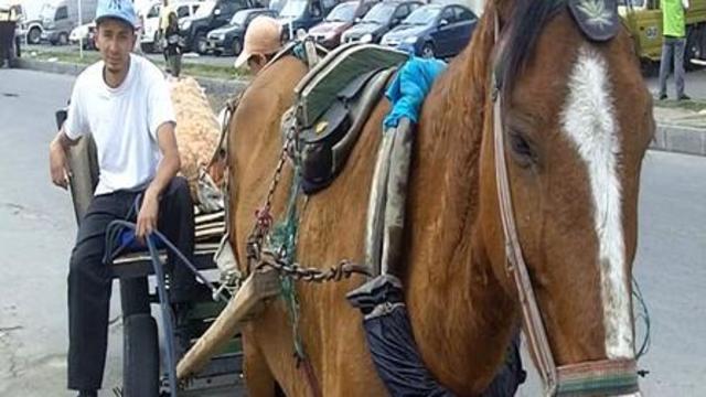 segunda fase Villavicencio