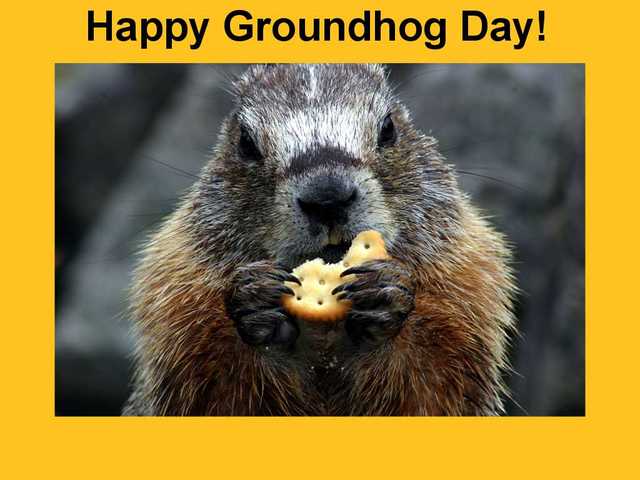 Groundhog Day