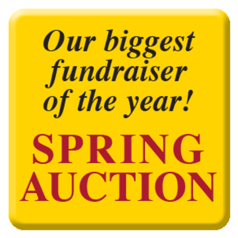 PTA Spring Auction
