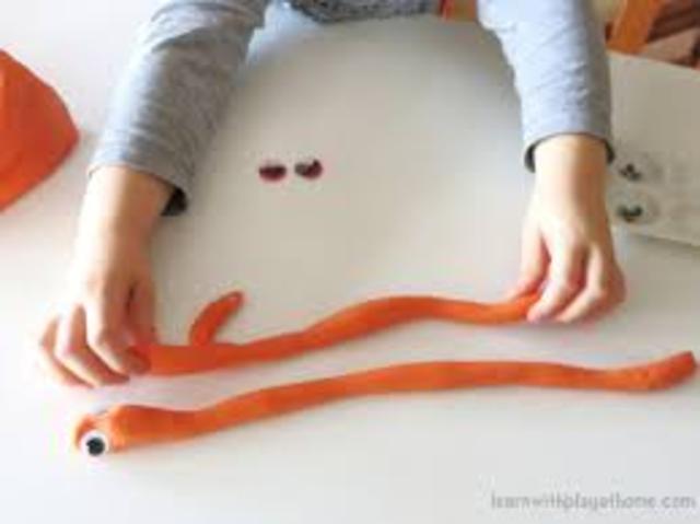 30-36 Months Cognitive Development