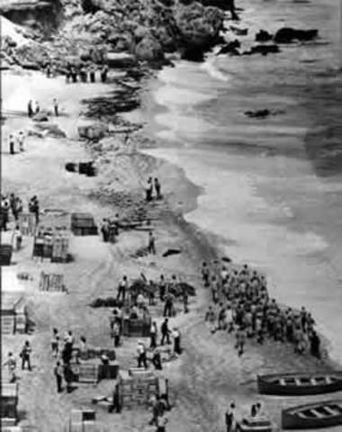 Gallipoli Campaign: 200 ships made for invasian of Turkey