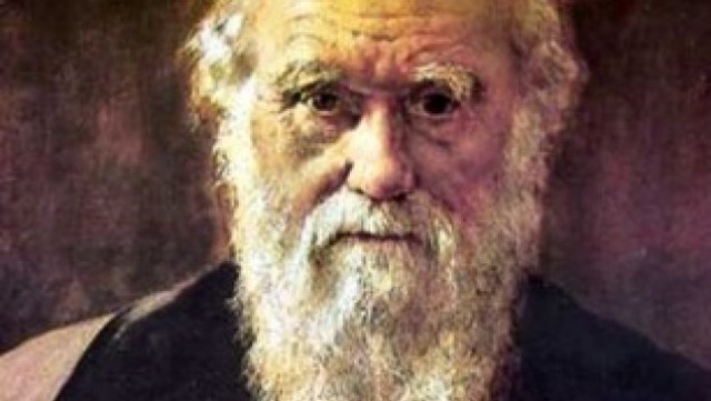 Darwin