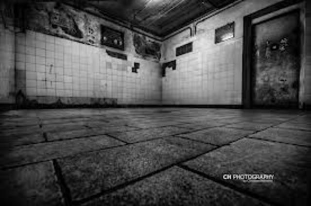 Mass Murder at Birkenau