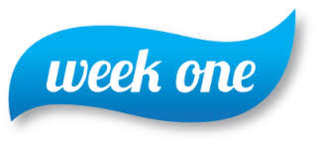 Teaching Practice Journal 1