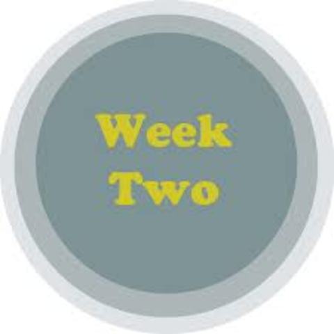 Teaching Practice Journal 2