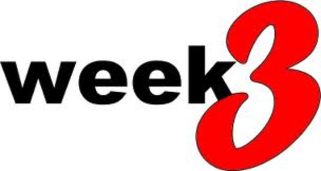 Teaching Practice 1 Week 3