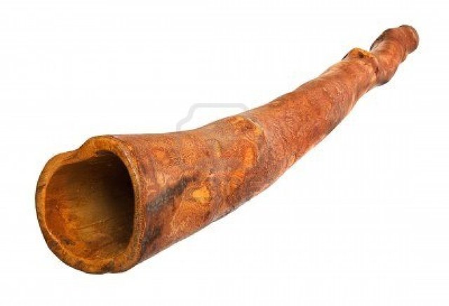 First written acount of the didgeridoo