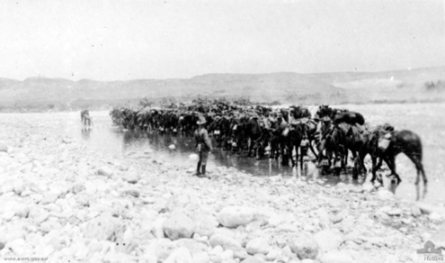 Australian light horse charge on Beersheba