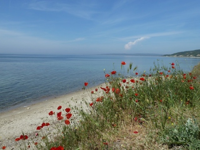 Gallipoli