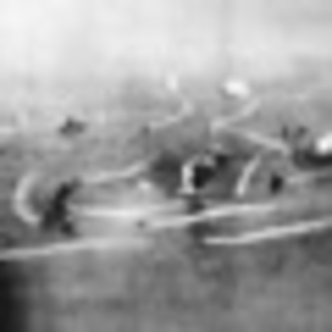 Battle of the Coral Sea End