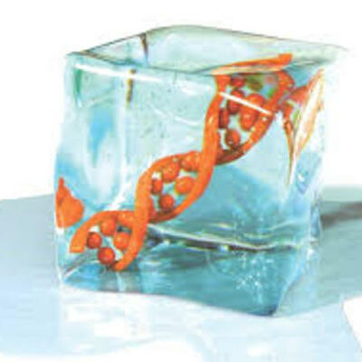 Timeline: inquiry:  (term 2)