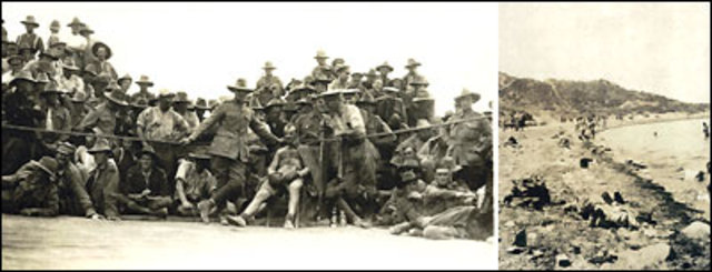 Troops Withdrawn From Gallipoli