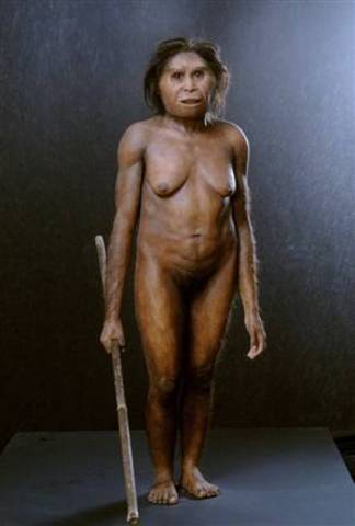 Homo floresiensis