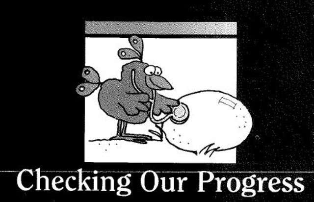 New Product Offerings