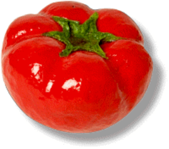 The first genetically engineered food product, the FlavrSavr tomato, recieves the US food and Drug Administration approval.
