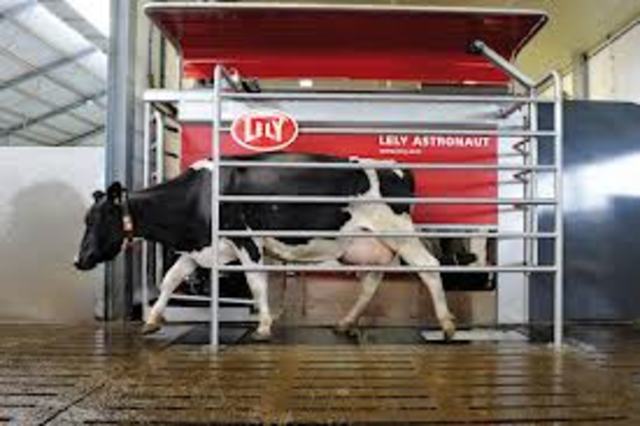 the latest milking robot