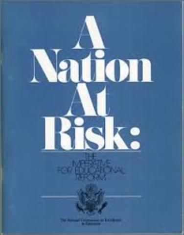 Nation At Risk