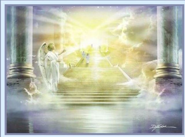 Mary mackillop canonisation