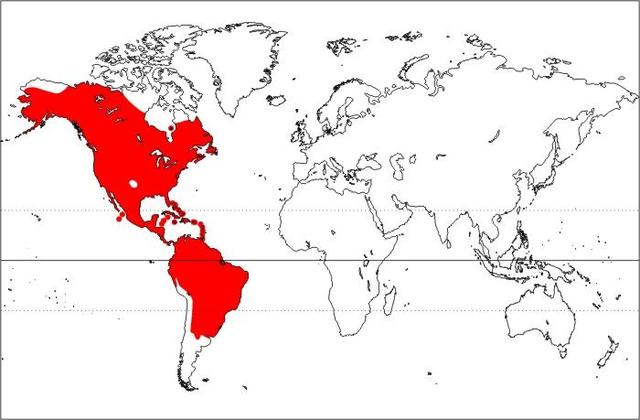 Marijuana spreads to the New World