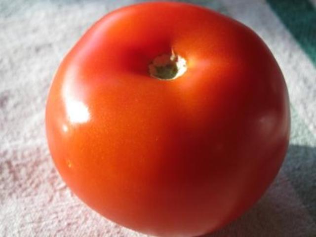 First genetically engineered food product