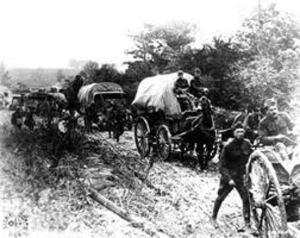 The arrival of the Zione Mule Corps