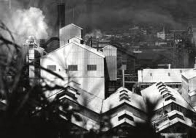 Outbreak of Minamata Disease