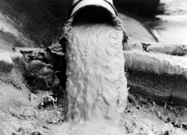 Minamata Disease Started