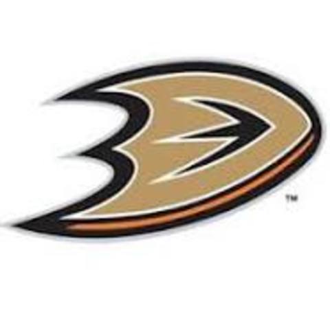 Anaheim Ducks Win 2007 Stanley Cup Finals
