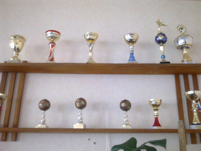 Наши достижения