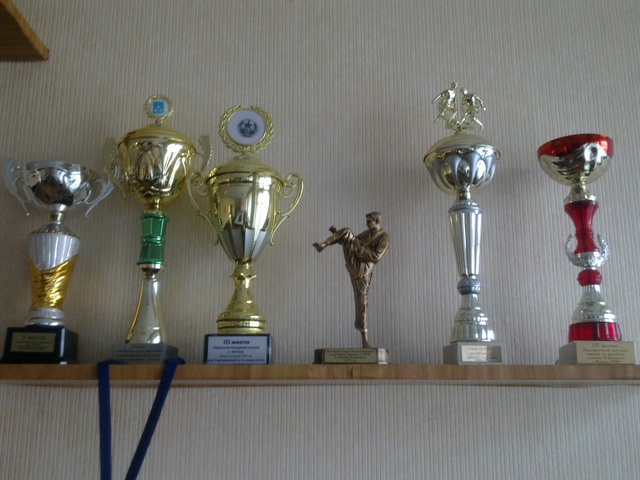 Наши достижения