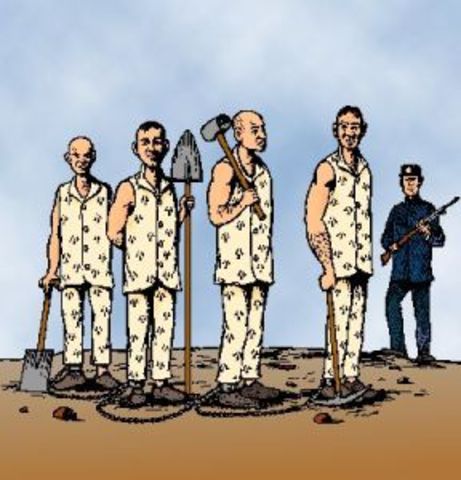 almost 4300 convicts are settled in australia