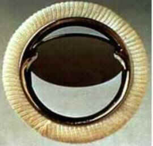 Válvula Cardíaca - Biomateriales