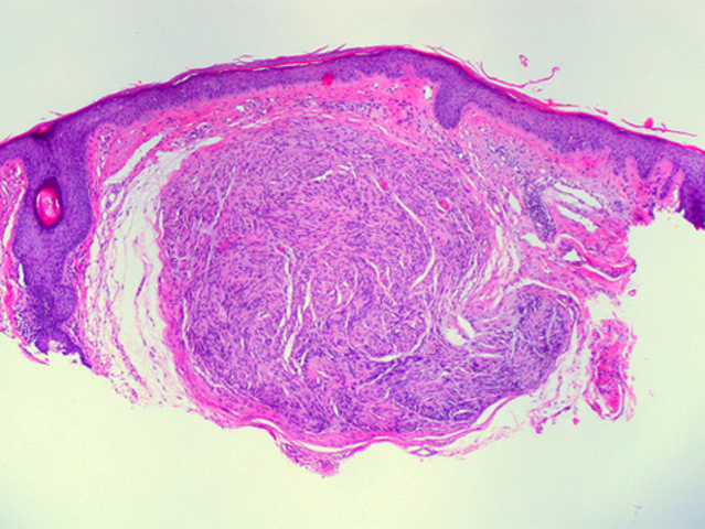 Scientists successfully create a recombinant organism for the first time.