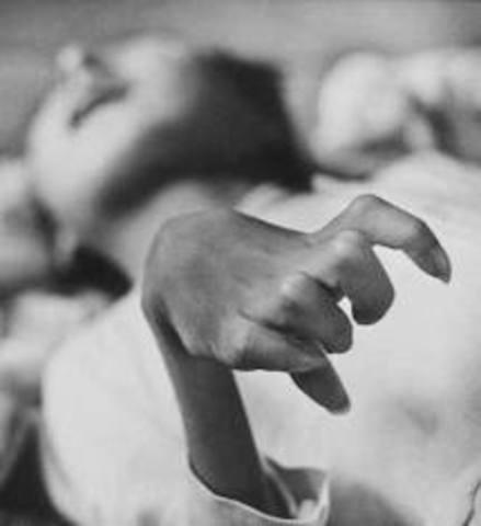 The epididemic broke out.