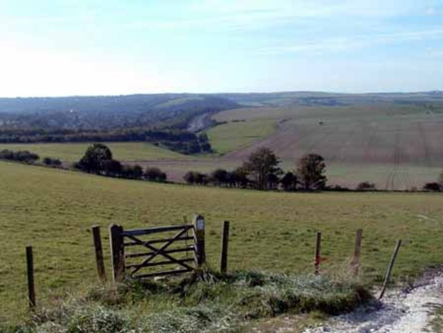 Scientists are able to modify crops to be able to grow without farmland or soil.