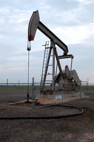 Oil becomes a popular resourse