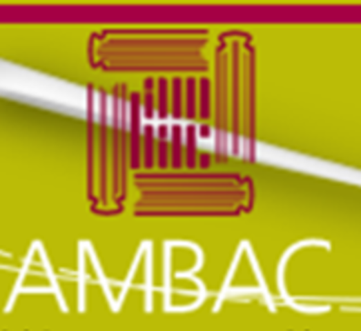 Reorganización de AMBAC sección Coahuila