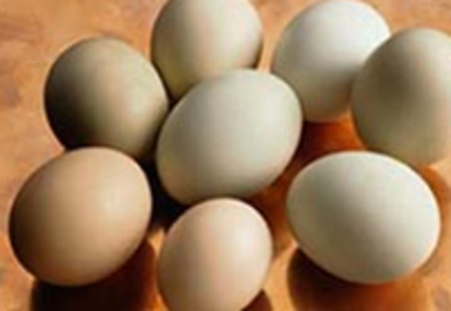 Scottich Researchers genetically modify chickens so that the eggs they lay are capable of producing drugs that fight cancer