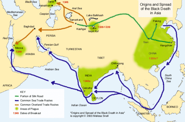 Where Did The Black Plague Originated From