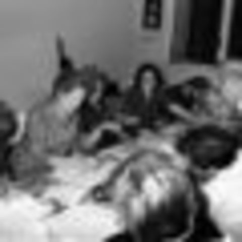 Se redacta y se aprueba en referéndum constitución española vigente en la actualidad