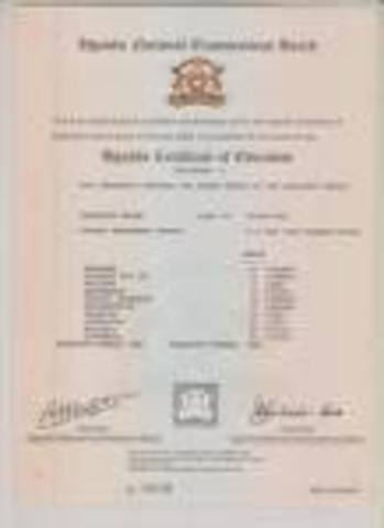 o levels were introduced