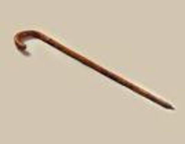 the cane was introduced